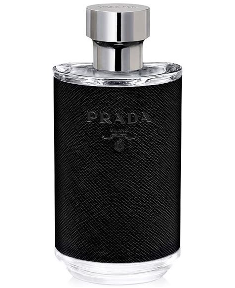 prada l'homme macy's